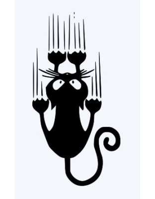Sliding Cat